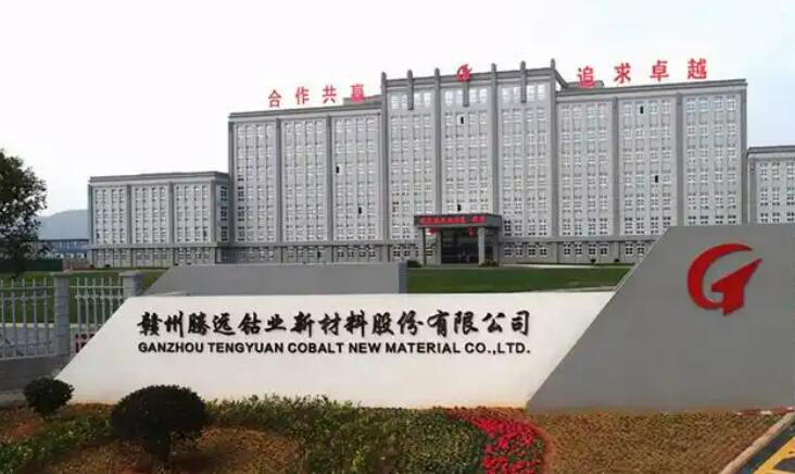 騰遠鈷業企業文化月系列活動圓滿落幕