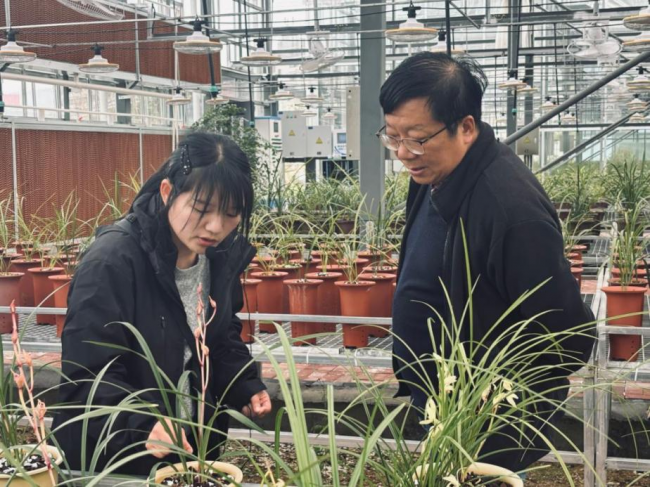 深耕蘭花特色產業 賦能鄉村全面振興