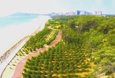 福建建成沿海防護林超14萬公頃