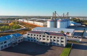 黑龍江綏棱縣：大豆加工全產業鏈全面成型