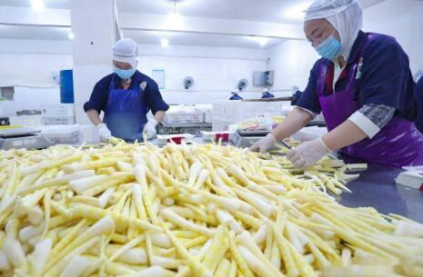 四川瀘州：精深加工讓一根竹筍身價倍增