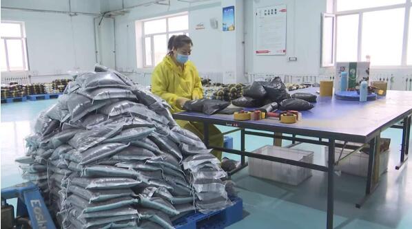 黑龍江四地入選全國農村電商快遞協同發展示范區