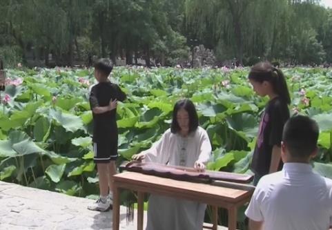 “以水生金”釋放夏日消費活力 “好顏值”變“好價值”一季荷韻帶動文旅熱