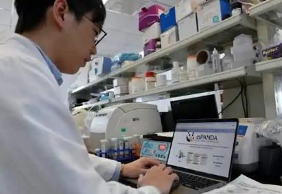 全球首個細胞級分辨率的胰腺癌科研平臺開放共享