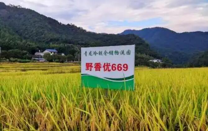 科特派助力遼寧桓仁特色產業提質增效