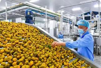 貴州生態食品產業不斷壯大