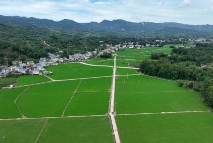 四川丹棱：“三新”共奏振興曲 桔橙之鄉繪就“共富”新圖景