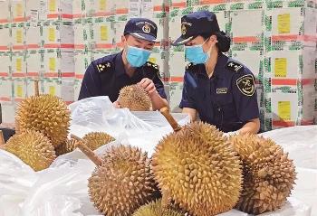 前五個月福建進口鮮榴蓮超兩億元