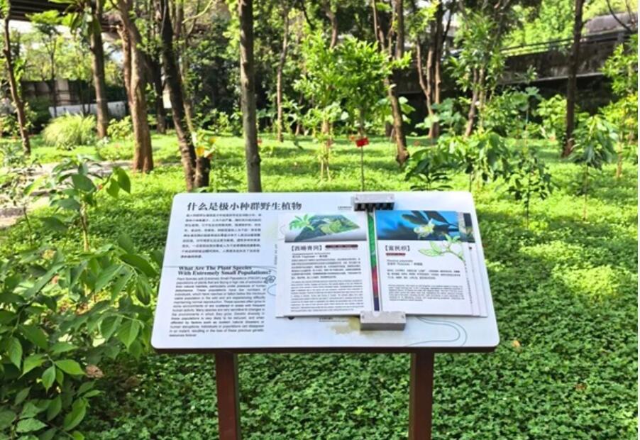 全國首次！31種極小種群野生植物在云南高速公路沿線“落戶”