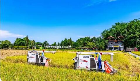 稅收數據顯示四川農業全鏈條活力持續增強