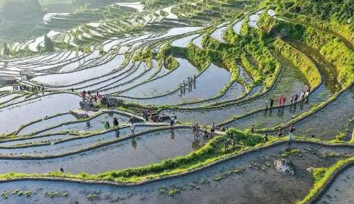 千年梯田繪就滇南富民新圖景