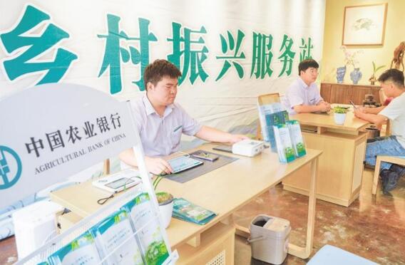 財政金融協同支持鄉村振興