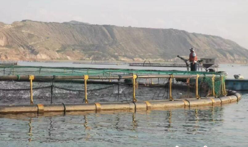 生態賦能產業鏈 漁旅融合興鄉村  大西北育好冷水魚