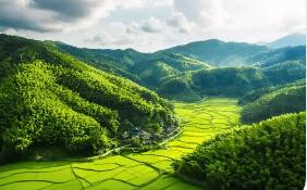 構建自然資源資產管理“四梁八柱”