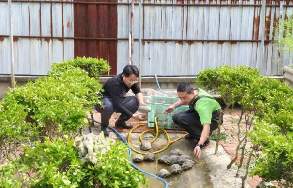 上海嘉定：深耕庭院養殖二十載，方寸小院托起鄉村振興富民產業