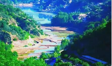 深耕林下經濟 潤澤綠水青山——延安市推動生態資源轉化為富民產業優勢