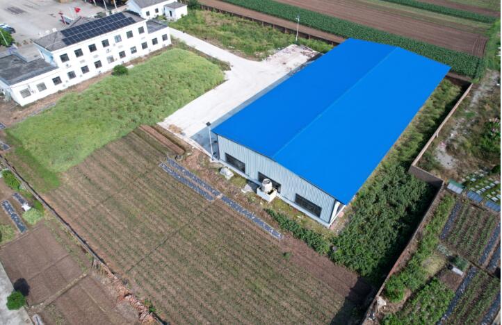 湖北荊州：閑地“長”出冷庫 產業“熱”力全開
