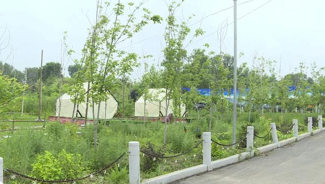 吉林松原：深挖山水古韻 賦能鄉村振興