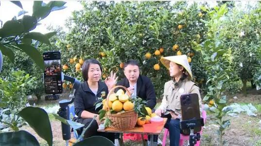 從“流量思維”到“信用思維”——福建直播助農一線觀察