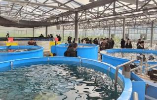 世界上每兩條養殖魚就有一條來自中國