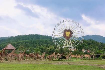 廣東7月在線旅游交易額領跑全國，研學游、納涼游雙雙“上大分”