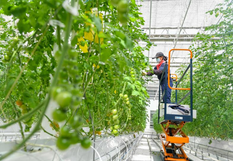 打造農業高新技術群 融合雙鏈跑出加速度