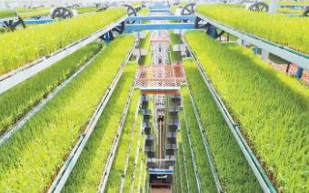 打造農業高新技術群 融合雙鏈跑出加速度
