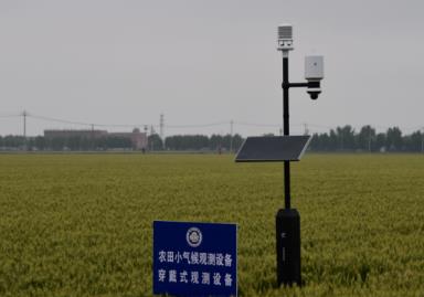 “氣象分區預警”如何守護農業穩產