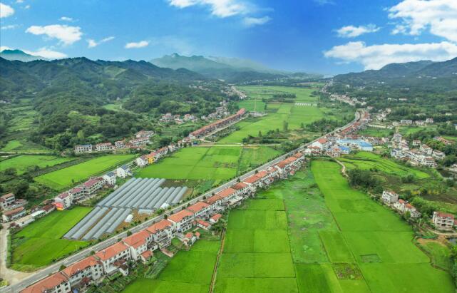 山貨出山 消費進山——湖北黃岡探索老區振興特色路