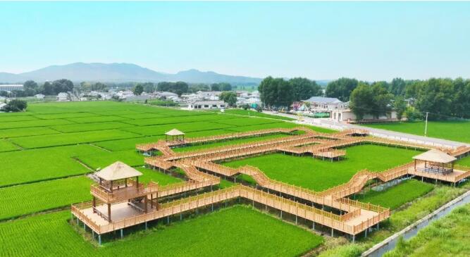 內蒙古烏蘭浩特市：深耕三農沃土 繪就鄉村振興新圖景