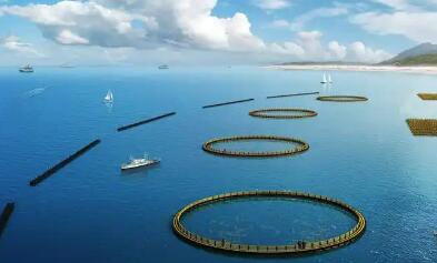 科技助力汕尾現代化海洋牧場建設跑出加速度