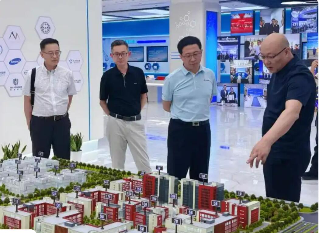 鏈上破局 聚勢成峰！解碼江蘇如東招商引資強勁活力