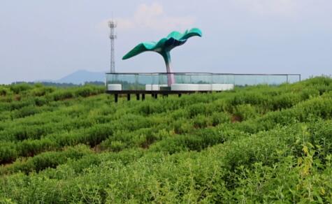 湖南常德臨澧縣大力發展林下經濟 助力鄉村振興