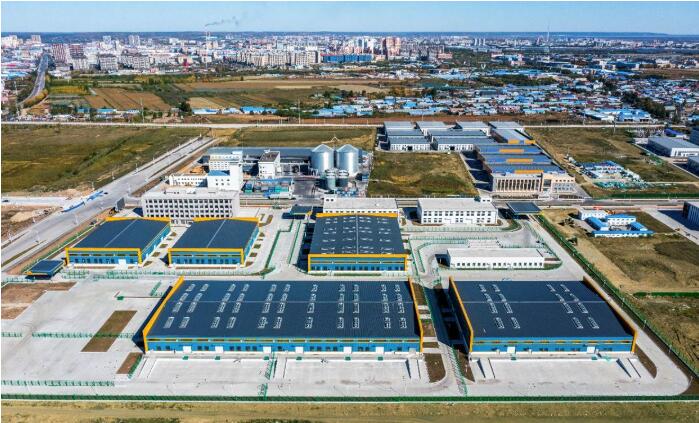 筑牢五大安全戰略底盤 黑龍江以新質生產力跑出工業振興加速度