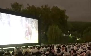 豐富多彩放映活動串聯景區、商圈、市集 “觀影+消費”成為百姓休閑新方式