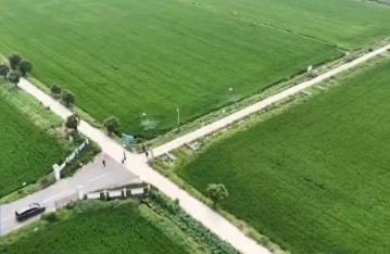 各地做好田間管理 夯實糧食豐收基礎