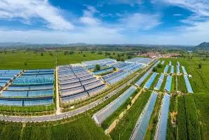 山西特優農業向現代化大產業轉型