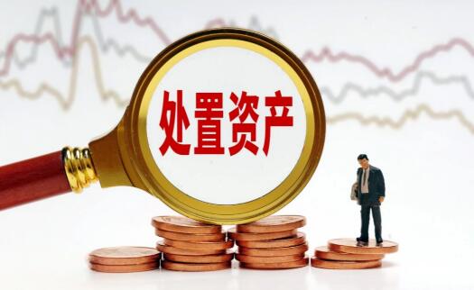 持續強化資源整合 多方協同推進特殊資產行業高質量發展