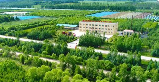 龍江森工集團積極發展林業碳匯經濟 打通“兩山”價值轉化通道