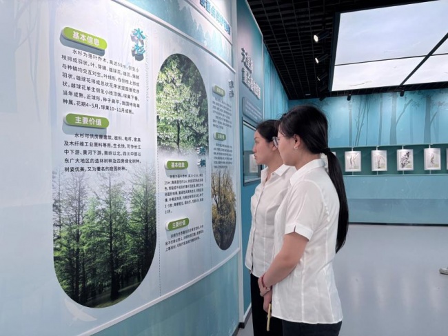 湖北羅田：多維賦能育青苗，薪火相傳共成長