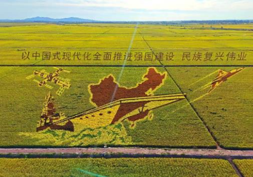 黑龍江22個農作物專家育種展示基地將對外開放