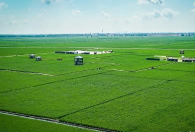 黑龍江佳木斯定制農業向全鏈條產業賦能轉型升級