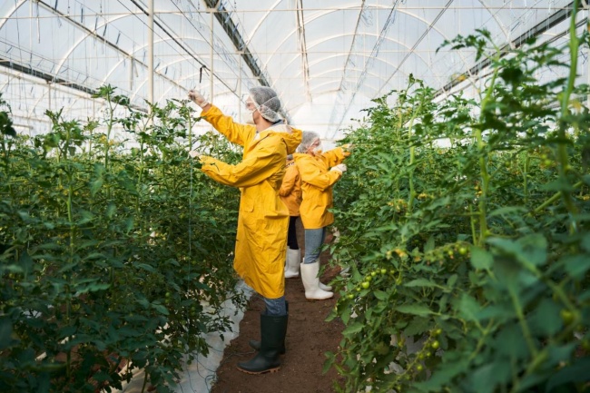 從有機認證到德米特認證:Kiwa BCS(歐格有機認證)幫助中國農產品進入全球高端渠道