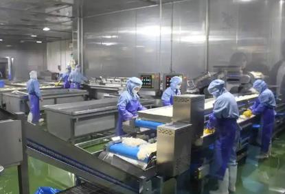 業績冷暖分化 產品迭代提速 渠道模式變革　從速凍食企半年報里看行業新變局