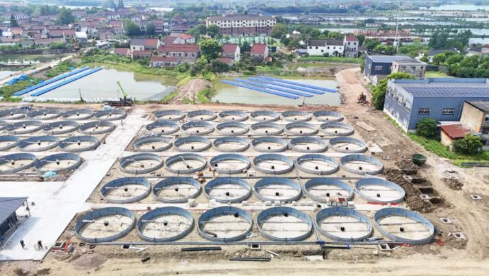 22個千萬級項目落地 浙江湖州南潯農業提速爭先
