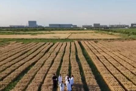 專業“上新” 新農科瞄準農業需求育棟梁