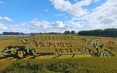 黑龍江綏化北林：深化科研合作 提升寒地作物育種能力