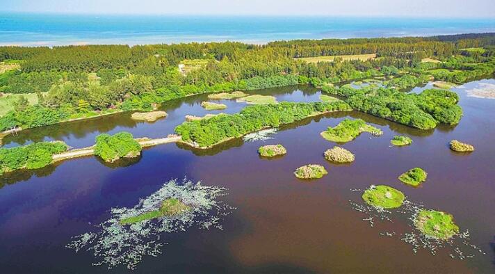 實施分區管控、優化能源結構 海南傾力厚植生態底色