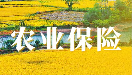 農業保險加快高質量發展重在健全多層次農業保險體系