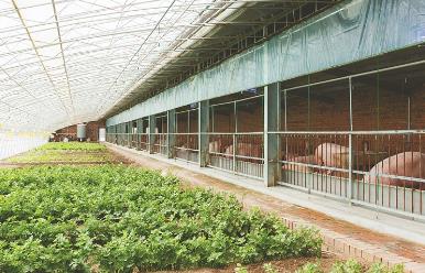 黑龍江省成立特色產業科技小院集群聚鏈賦能鄉村振興